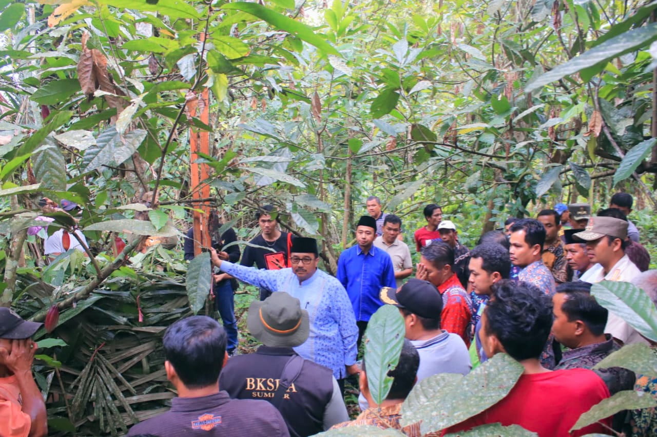 Bupati Pasaman H. Benny Utama kunjungi masyarakat Huta Pinang Jorong IV Pasar Kamis Nagari di Kota Nopan, Kecamatan Rao Utara, Kamis sore (29/12).