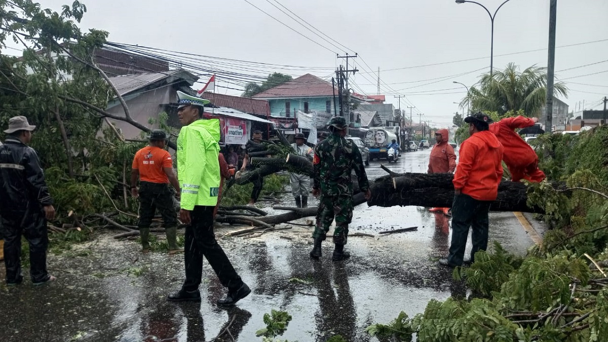 Pohon Tumbang Akibat Hujan dan Angin Kencang di Simpang Lampu Merah Lubeg, Kota Padang/Image Pusdalops PB.