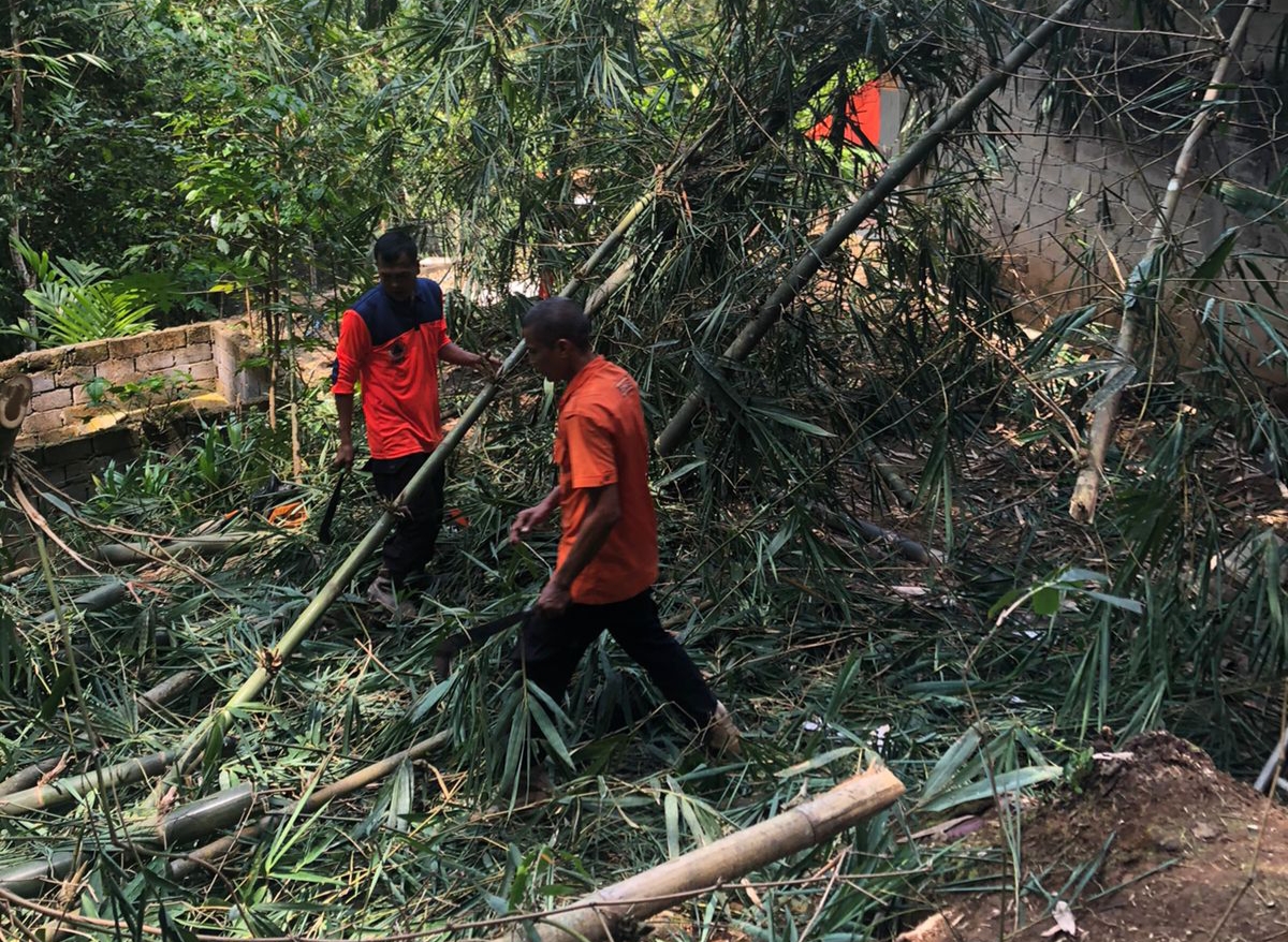 Pohon Bambu Tumbang Timpa Rumah Warga Ibu Yanti di Kota Sawahlunto