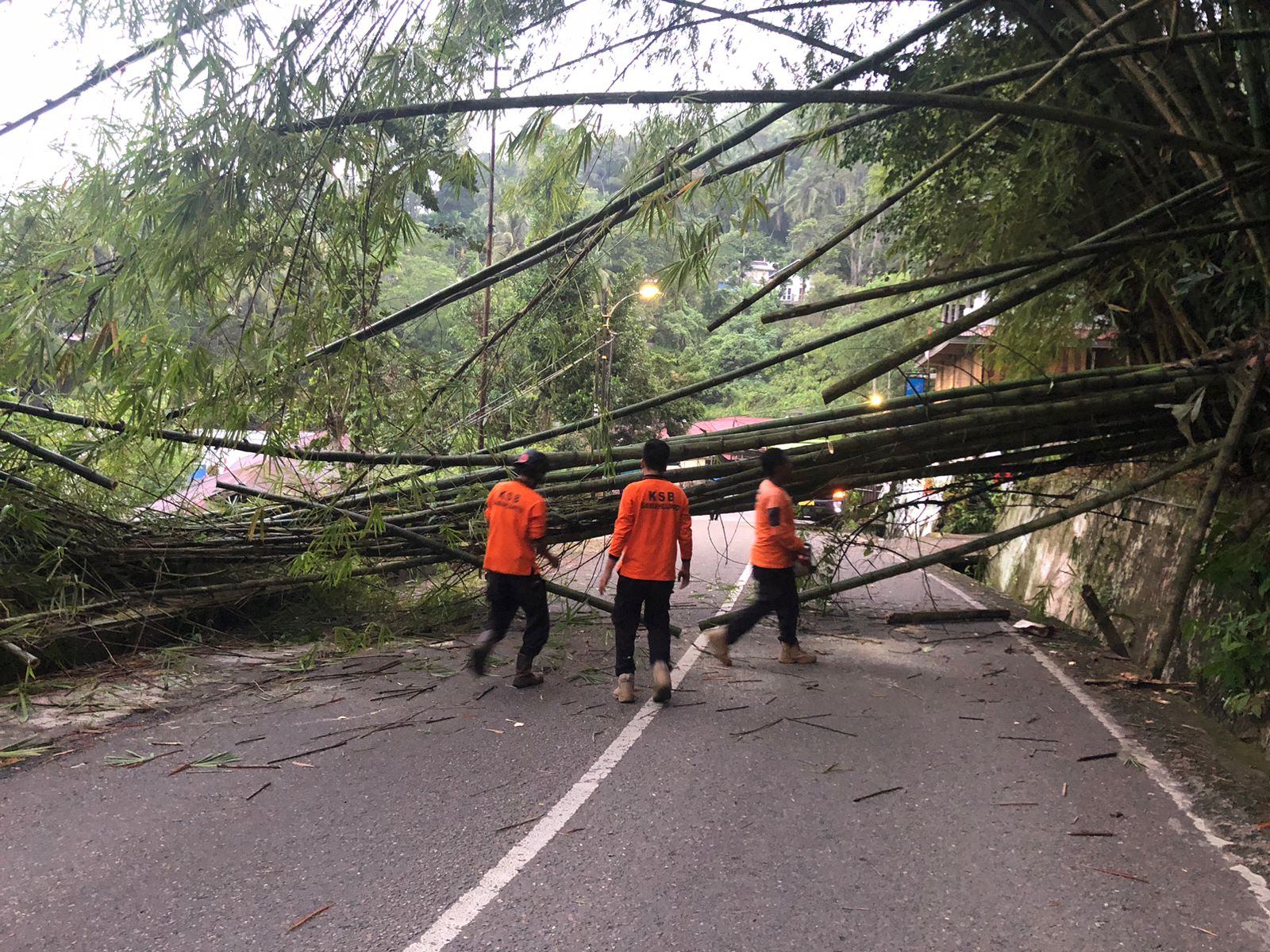 Pohon Bambu Tumbang Akibat Angin Kencang, Jalan Kota Sawahlunto Tertutup Total